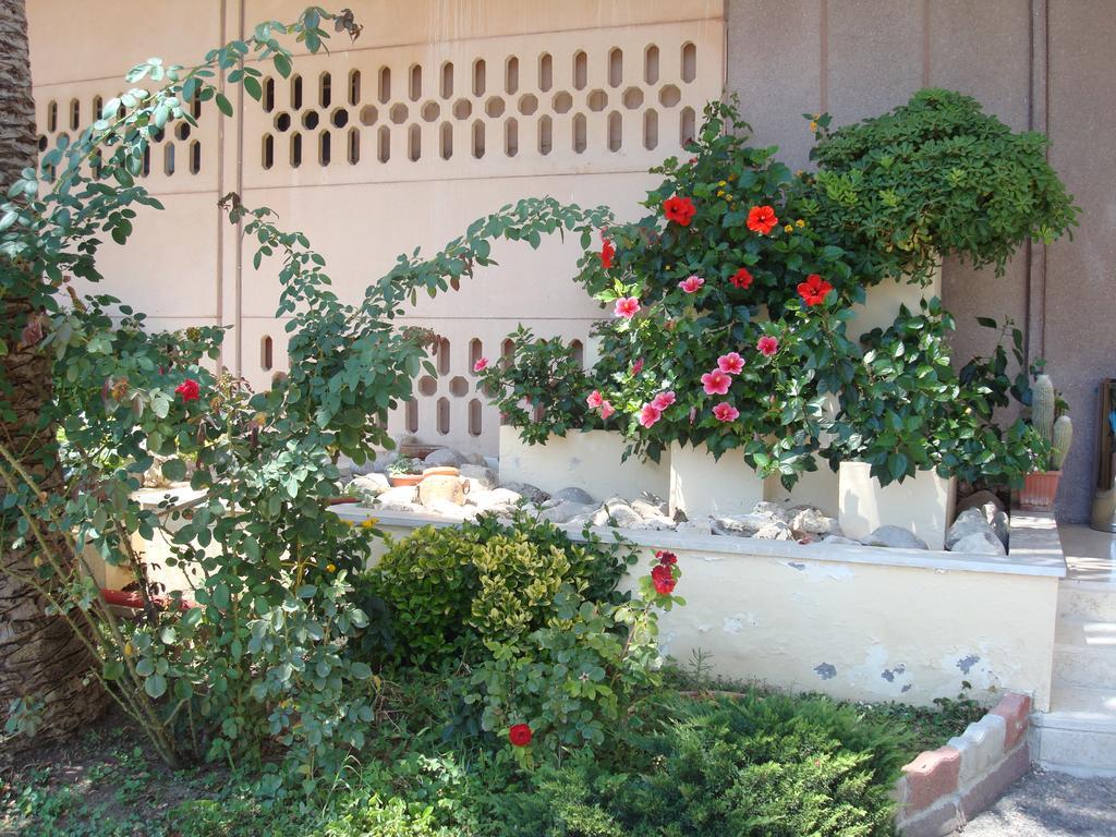 Park Hotel Baia Domizia Εξωτερικό φωτογραφία