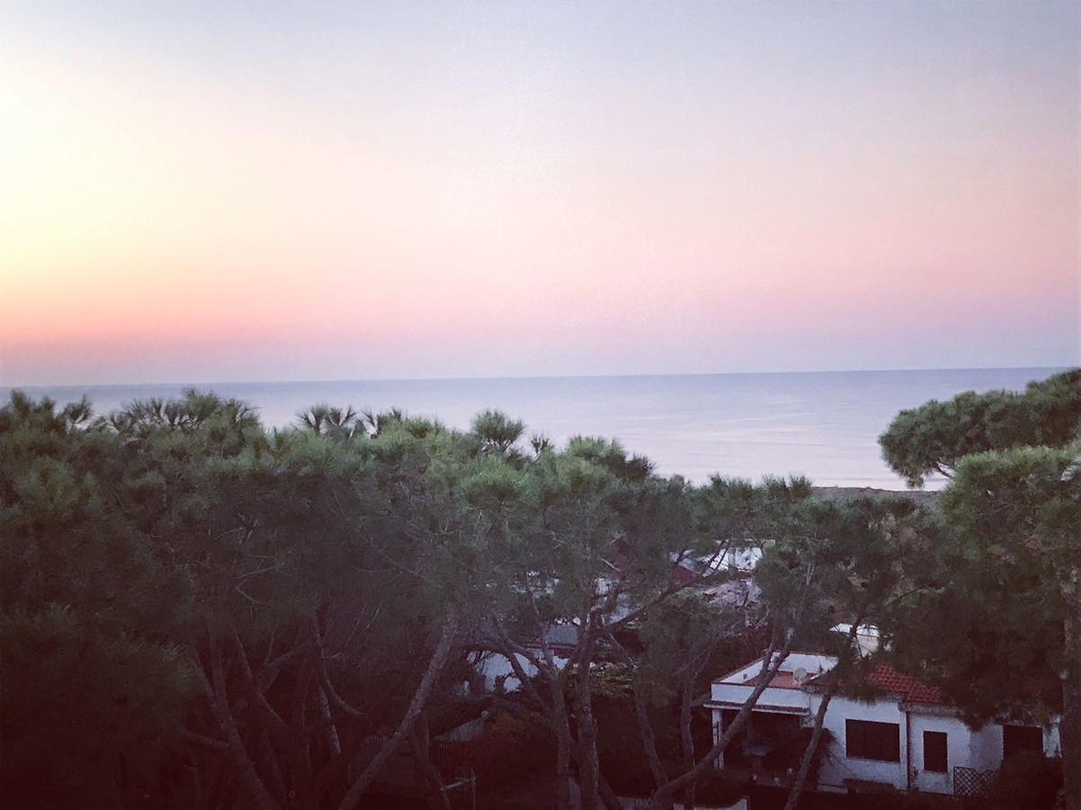 Park Hotel Baia Domizia Εξωτερικό φωτογραφία